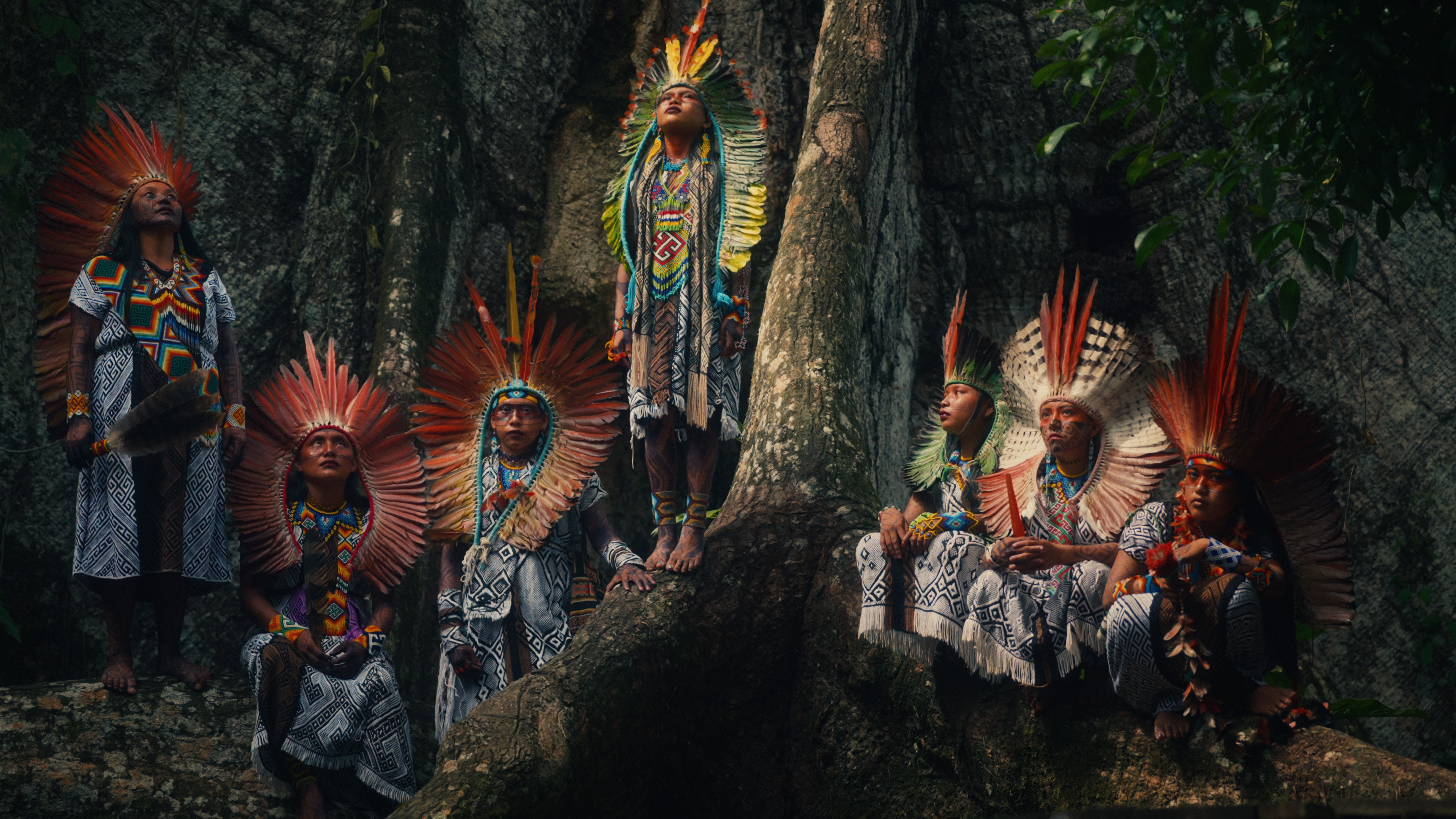 Huni Kuin women and youth in ceremonial headdresses gathered on a great tree